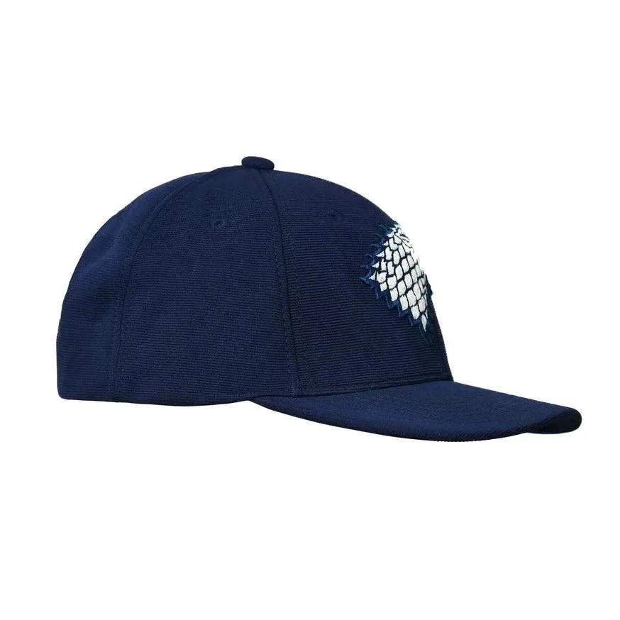 Game Of Thrones House Of Stark Sigil Hip Hop Cap For Men - Navy Blue