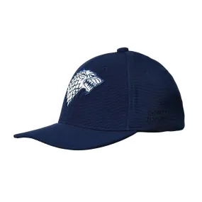 Game Of Thrones House Of Stark Sigil Hip Hop Cap For Men - Navy Blue